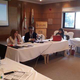 A specialized workshop for the construction of educational curricula in…